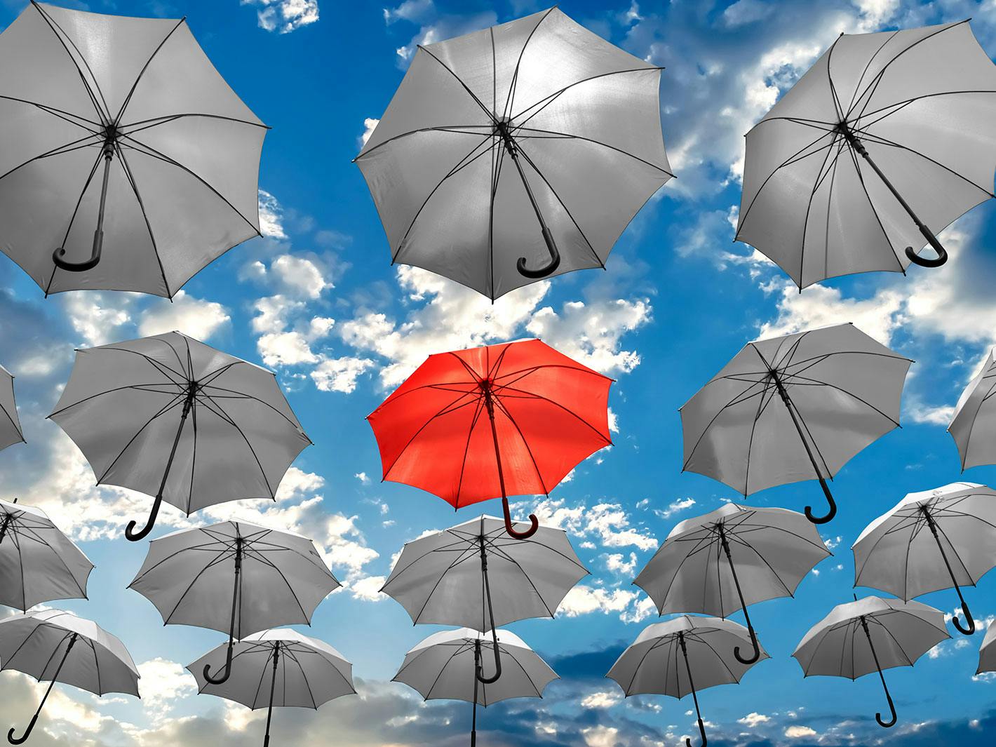 Umbrella companies sorting the good from the bad News Bright