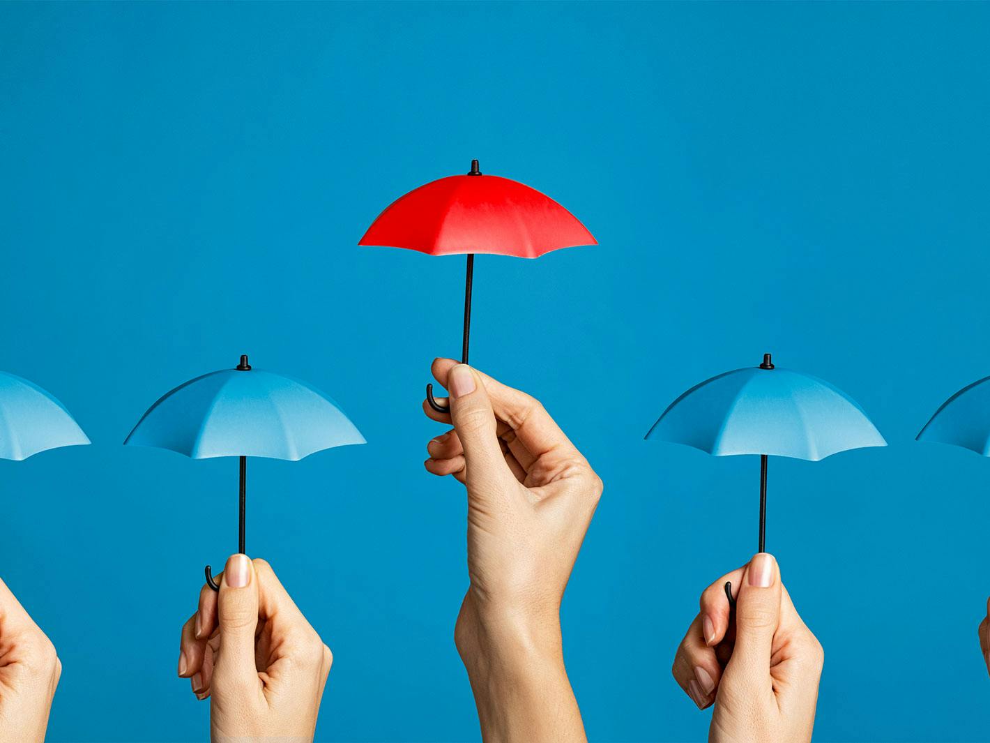 The rise of mini umbrella company fraud News Bright Grahame Murray